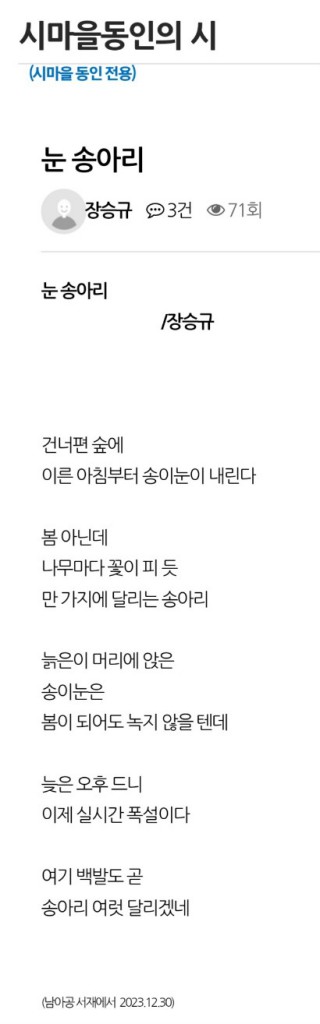 눈 송아리